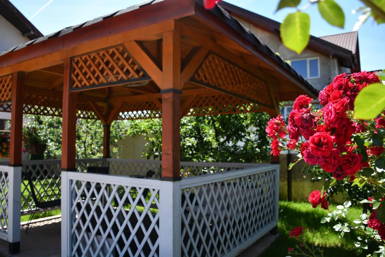 Pensiunea Clasic Hunedoara Pestisu Mare Extérieur photo