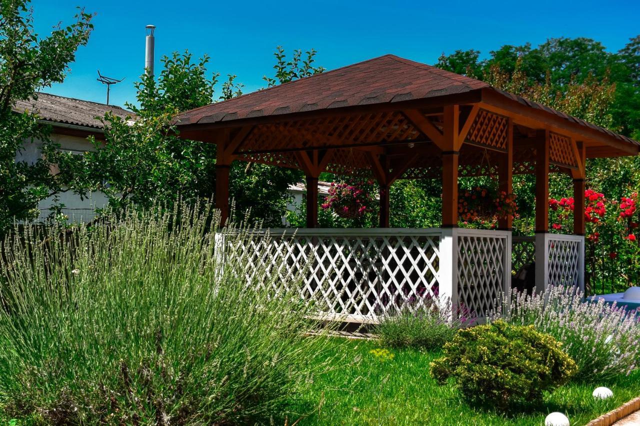 Pensiunea Clasic Hunedoara Pestisu Mare Extérieur photo